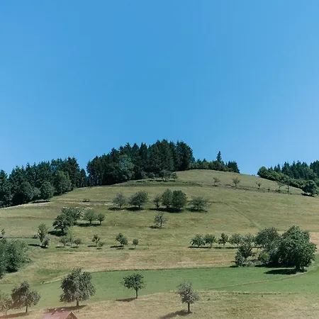 Апартаменты Modernes Blackforest Art 35 Qm Naehe Freiburg