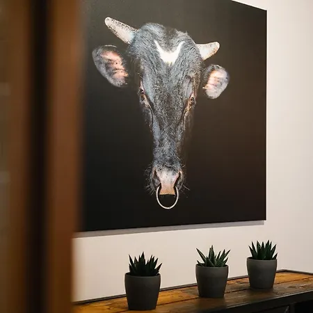 Modernes Blackforest Art 35 Qm Naehe Freiburg *