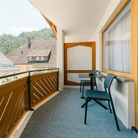 Apartment Modernes Blackforest Art 35 Qm Naehe Freiburg Simonswald