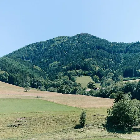 Modernes Blackforest Art 35 Qm Naehe Freiburg Apartment