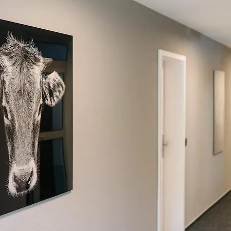 Modernes Blackforest Art 35 Qm Naehe Freiburg Simonswald