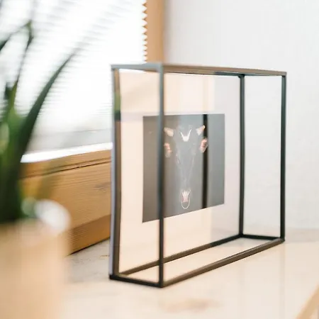 Apartment Modernes Blackforest Art 35 Qm Naehe Freiburg